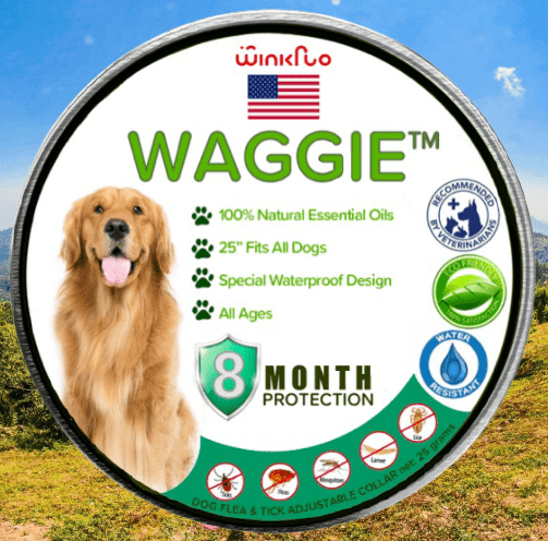 cãolarinho™ - Coleira natural contra pulgas, carraças e mosquitos