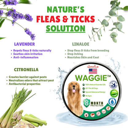 cãolarinho™ - Coleira natural contra pulgas, carraças e mosquitos
